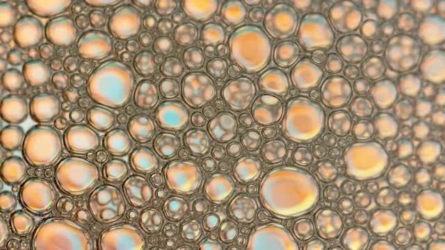 Foam Bubble: Stock Video