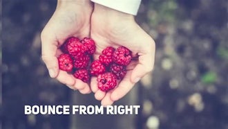Modern Transitions: After Effects Templates
