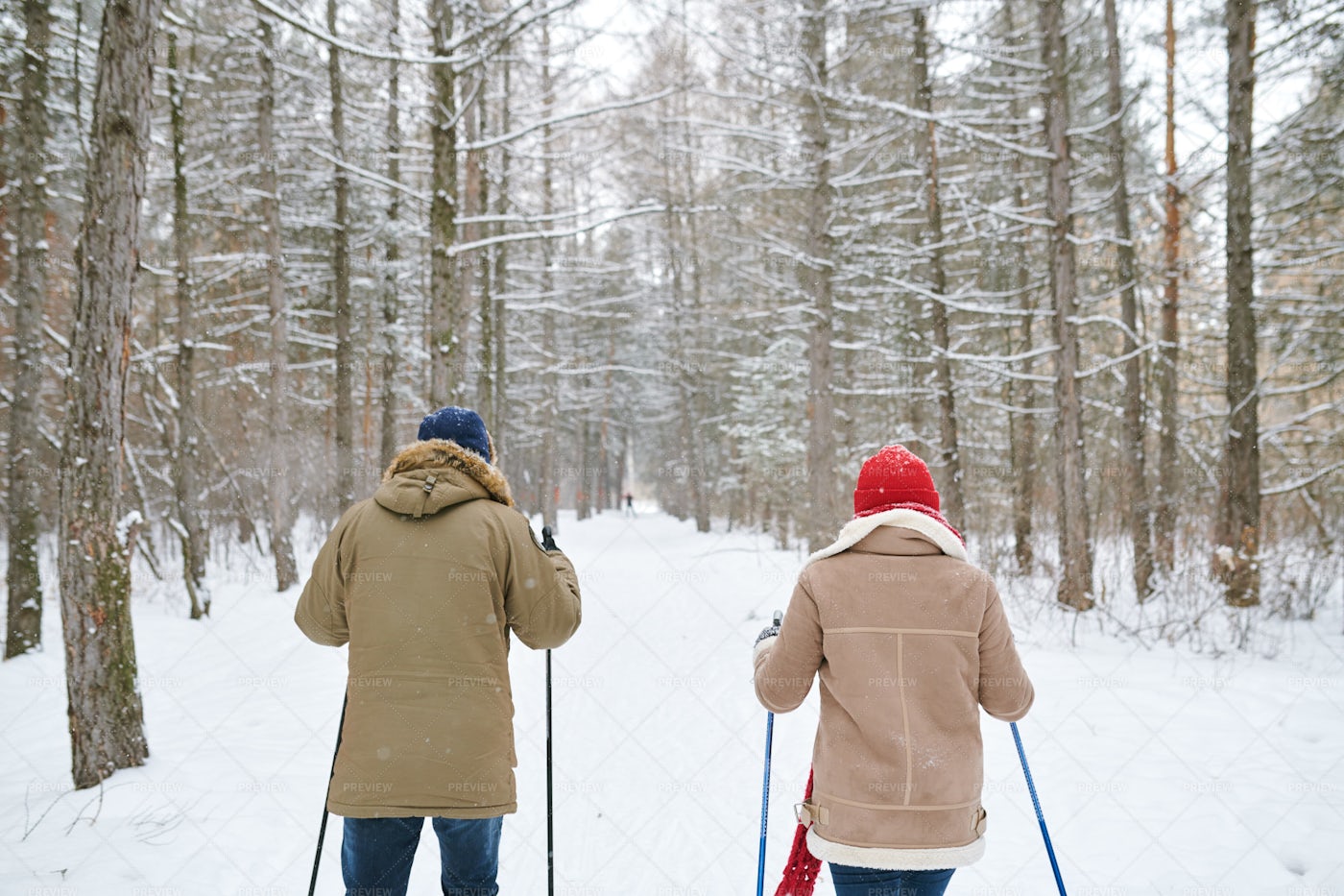 Couple Skiing Back View: Stock Photos