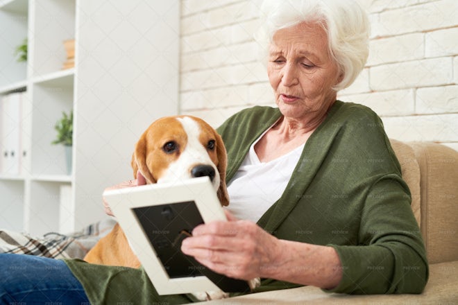 Sad Woman With Dog Thinking Of... - Stock Photos | Motion Array