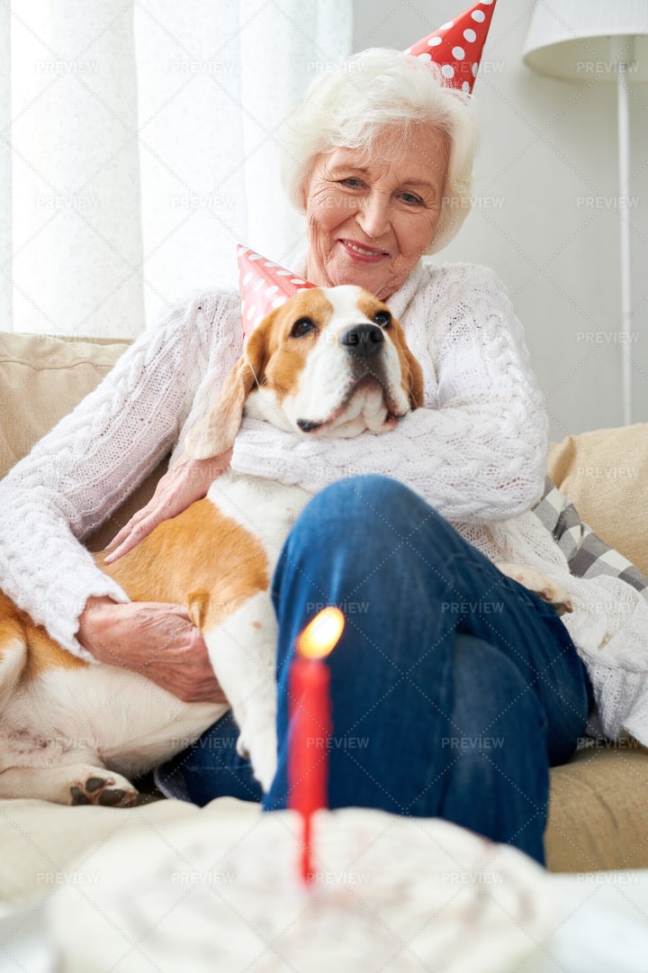 First Birthday Of Favorite Dog: Stock Photos