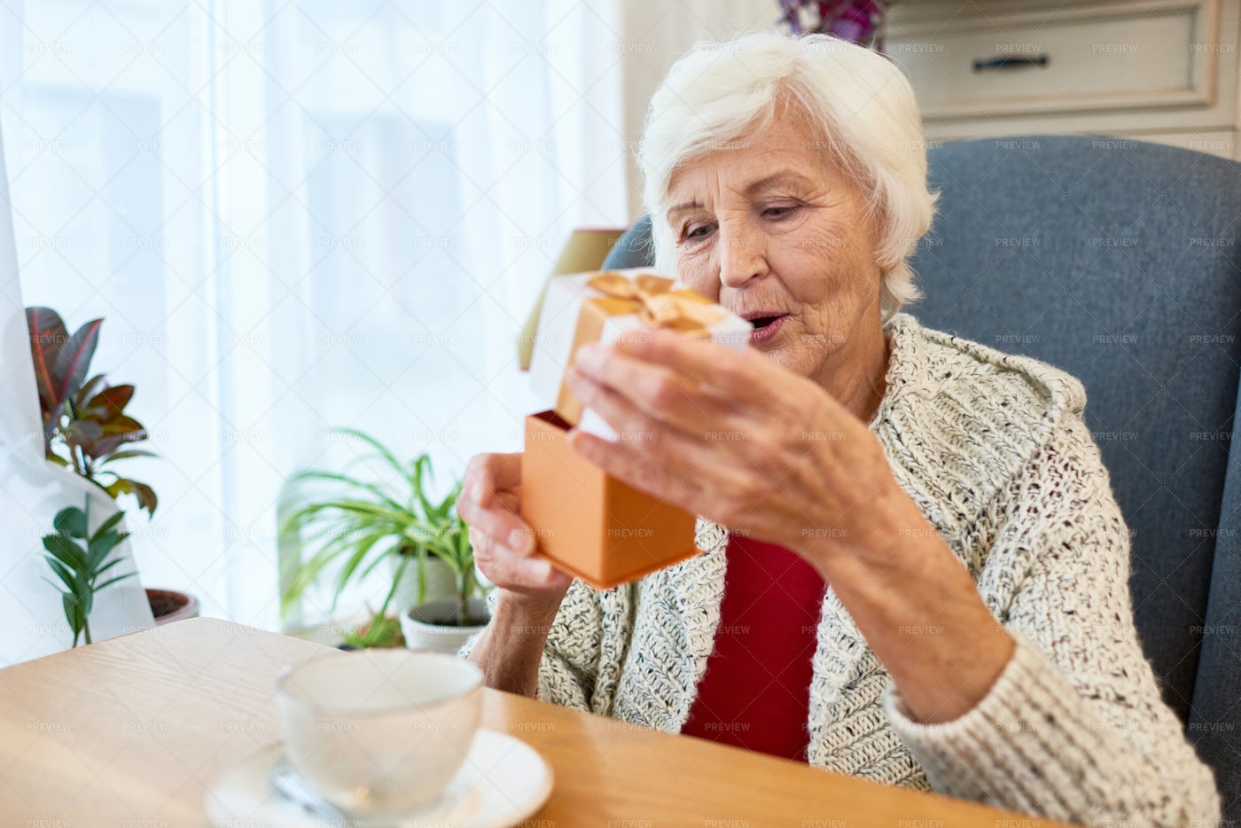 Pretty Senior Woman Celebrating...: Stock Photos