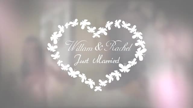 Unique Wedding Titles Pack: Motion Graphics Templates