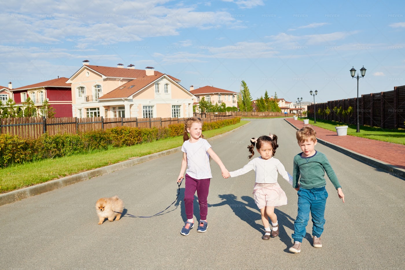Children Walking Dog: Stock Photos