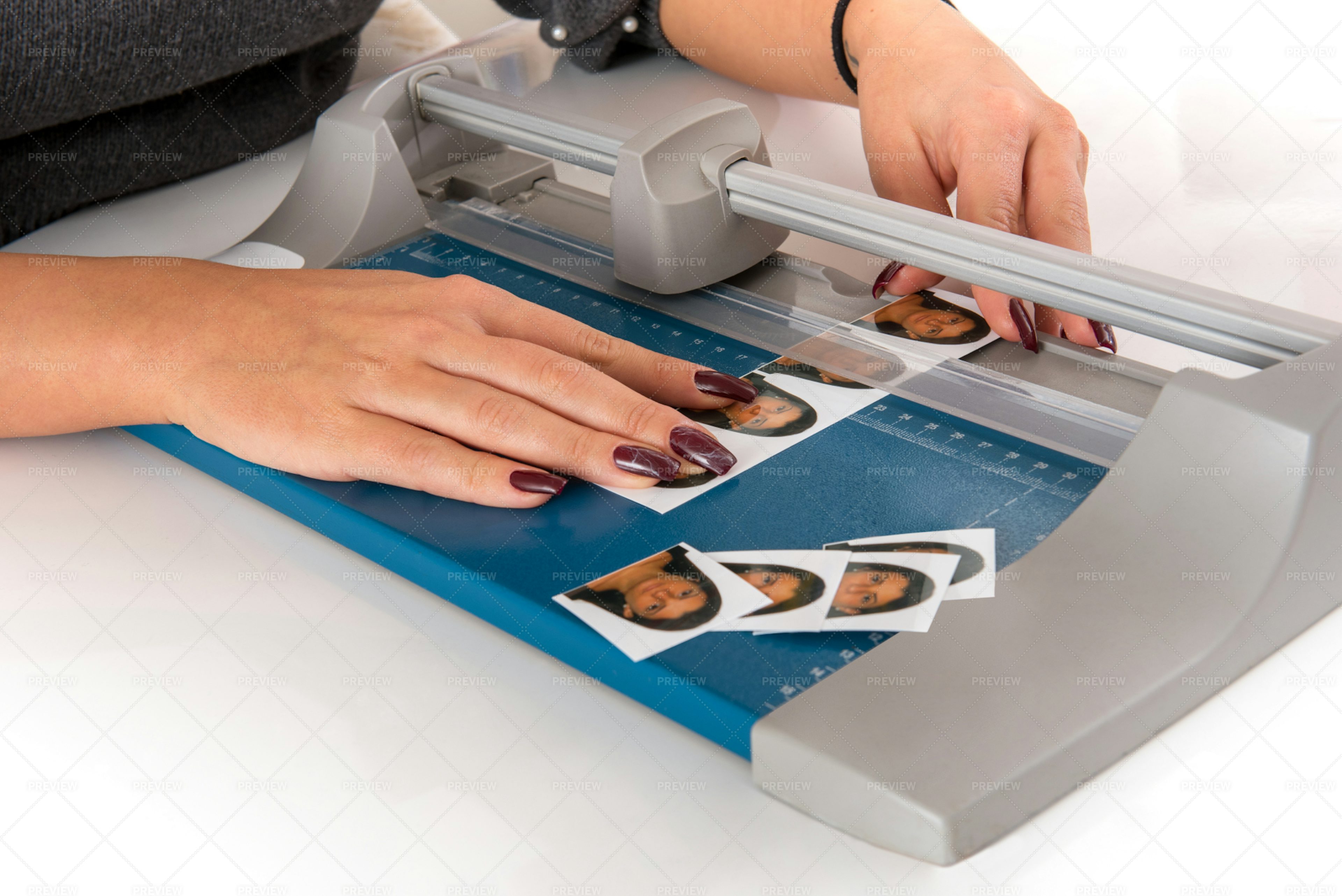 cutting-passport-photos-stock-photos-motion-array