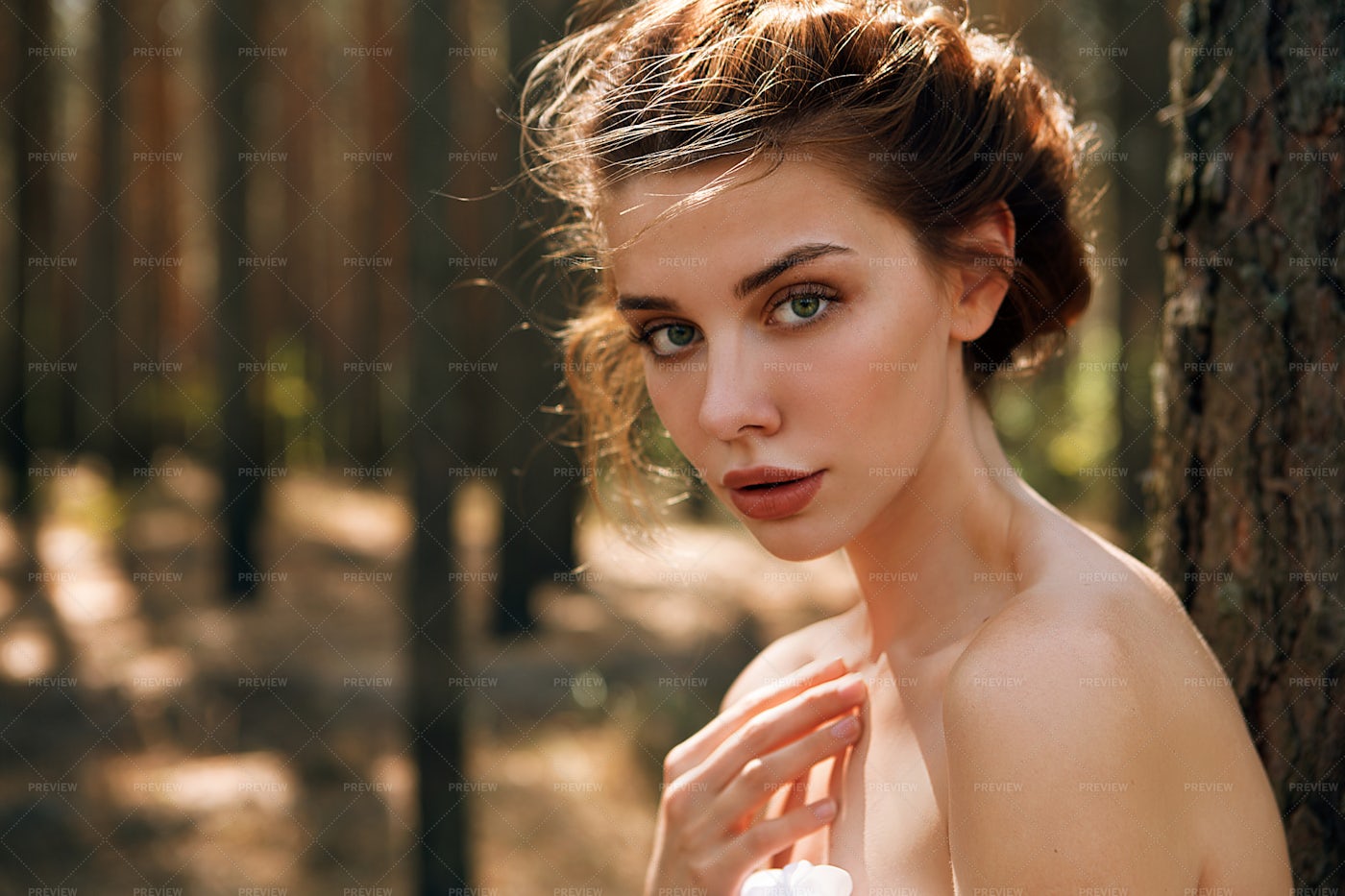 Woman In The Woods: Stock Photos