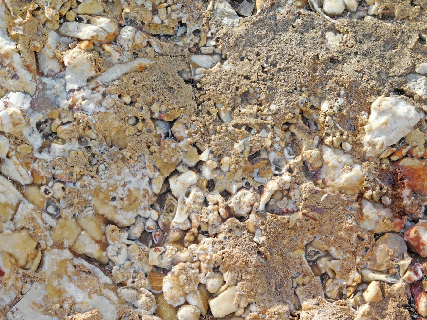 Stone Texture In The Garden: Stock Photos