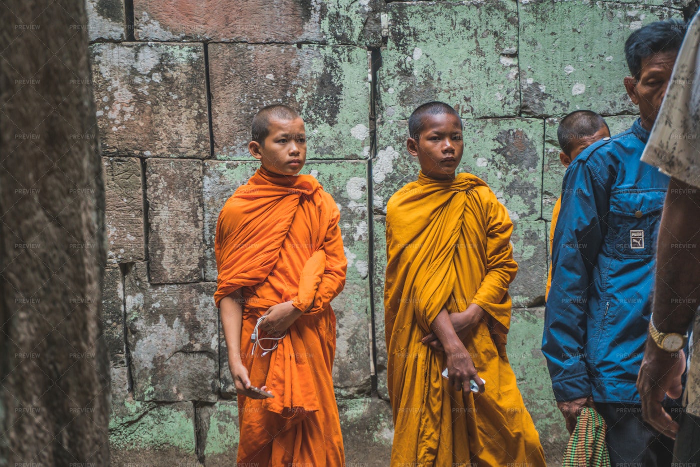 Young Buddhist Monks: Stock Photos
