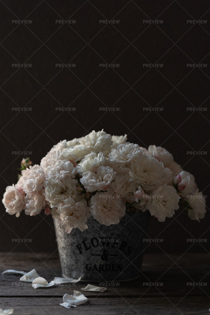 Bucket Of White Roses: Stock Photos
