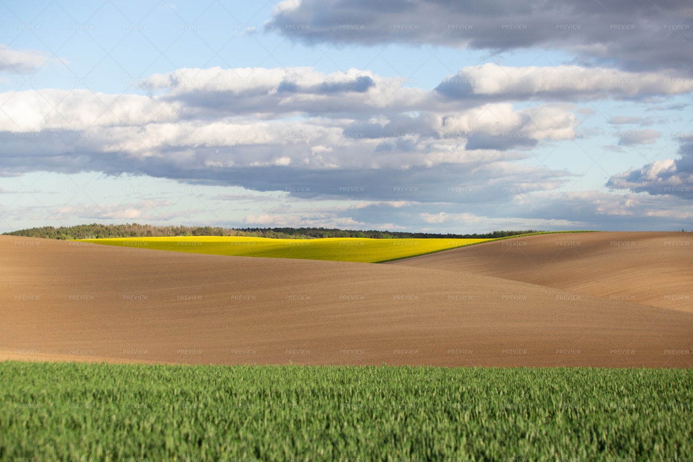 Vast Agricultural Fields: Stock Photos
