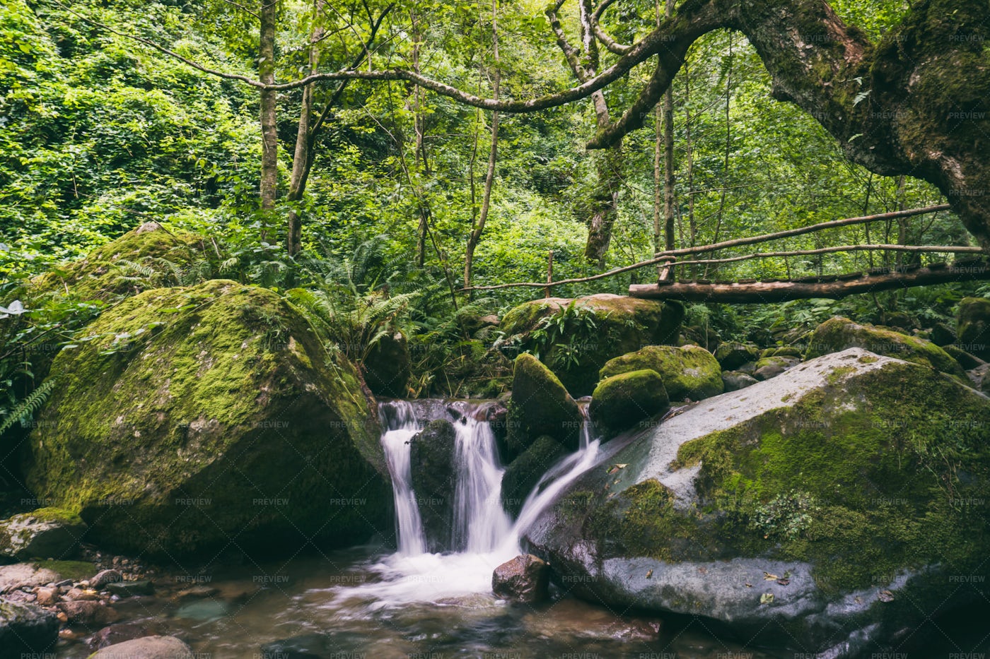 Little Waterfall: Stock Photos