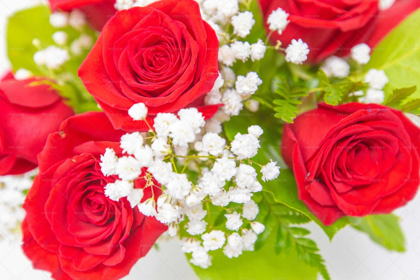 Valentine's Day Roses: Stock Photos