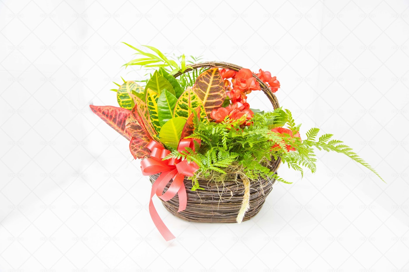 Flower Basket: Stock Photos