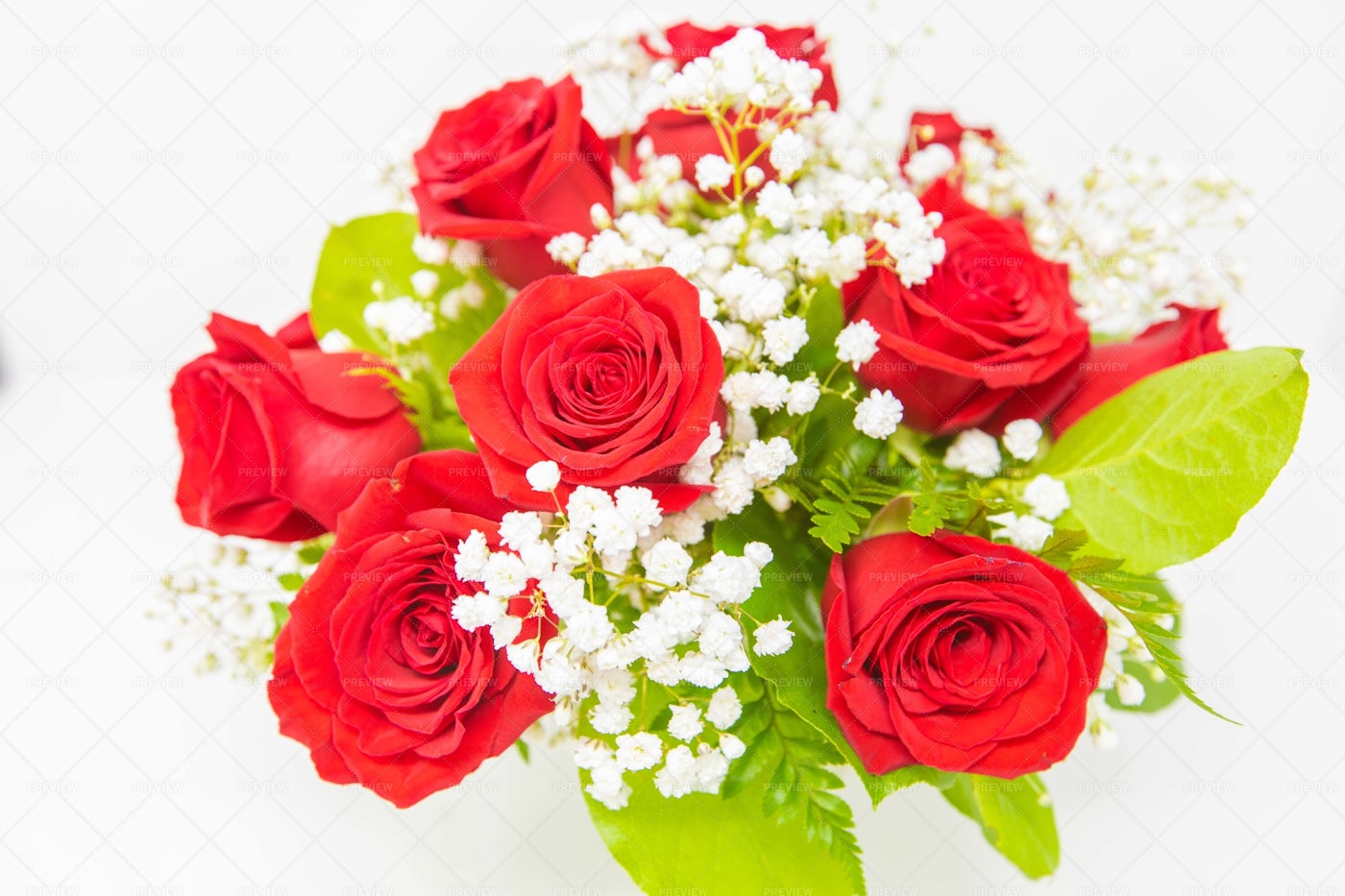 Roses In A Flower Pot: Stock Photos