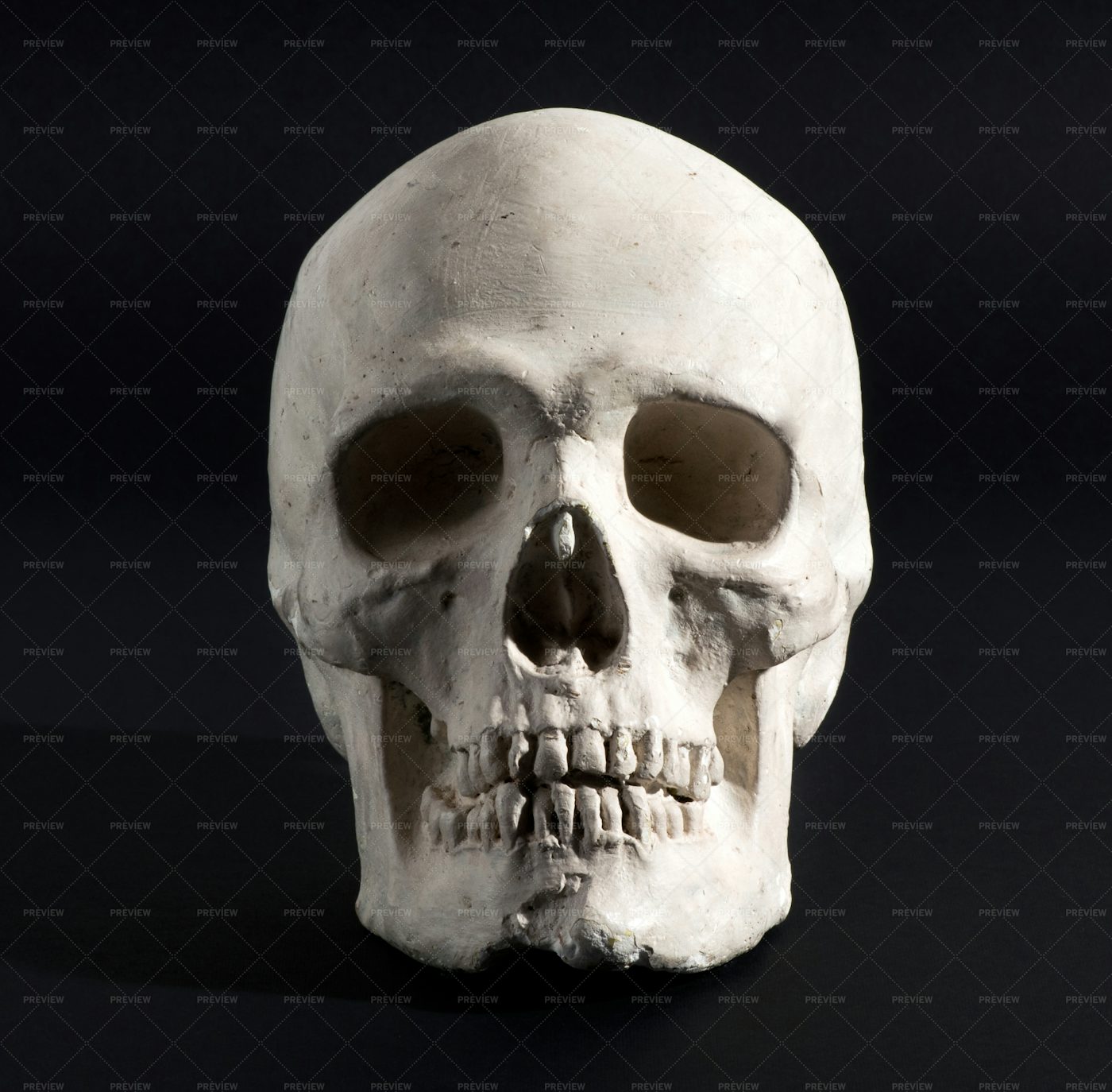 Human Skull On A Black: Stock Photos