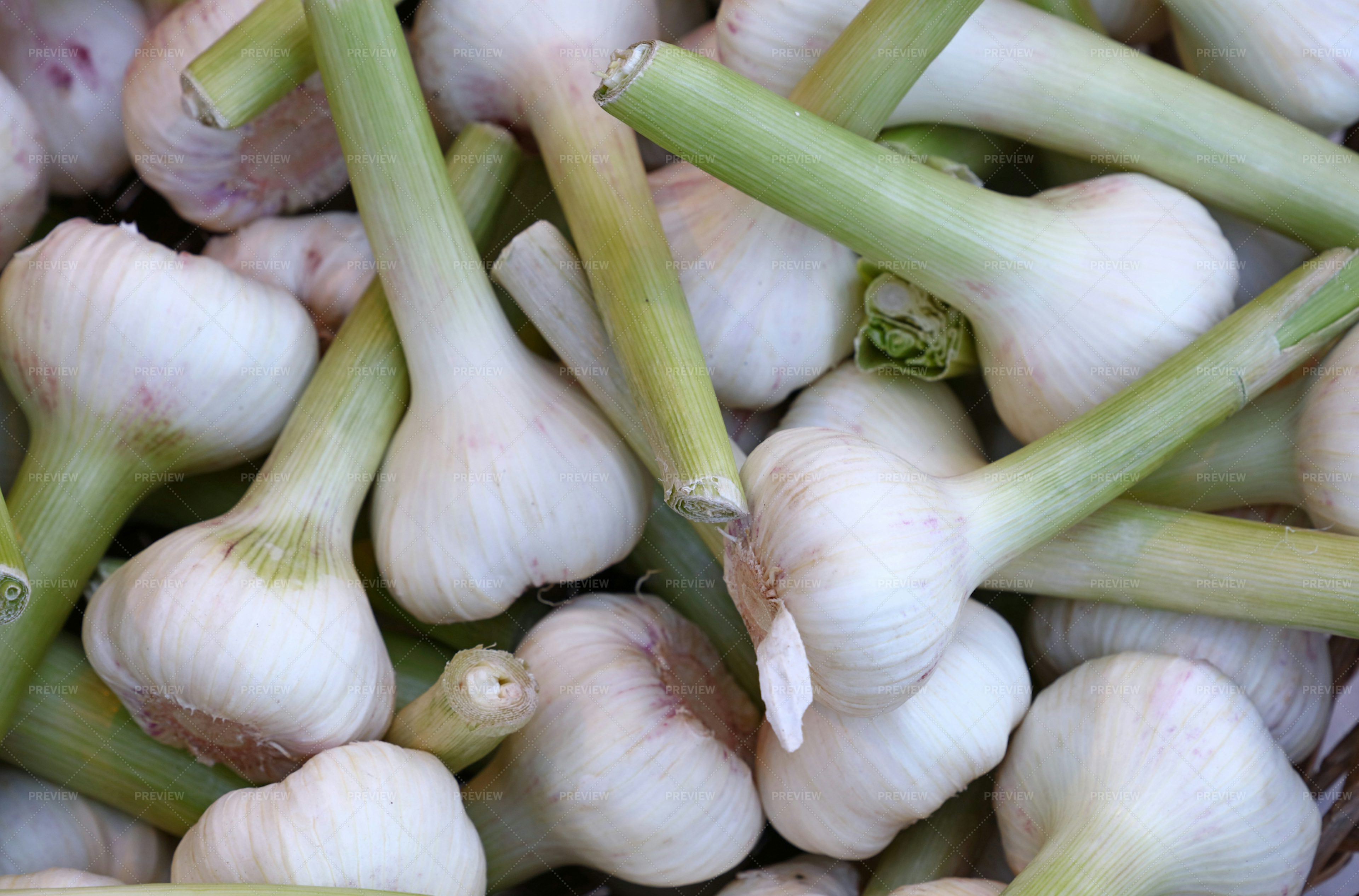 Fresh Garlic Bulbs Sale Stock Photos Motion Array