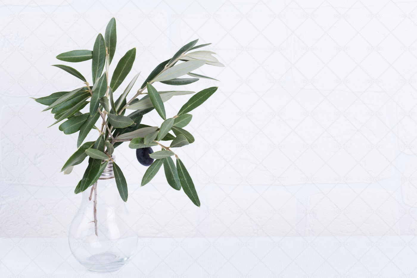 Green Olive Branches: Stock Photos