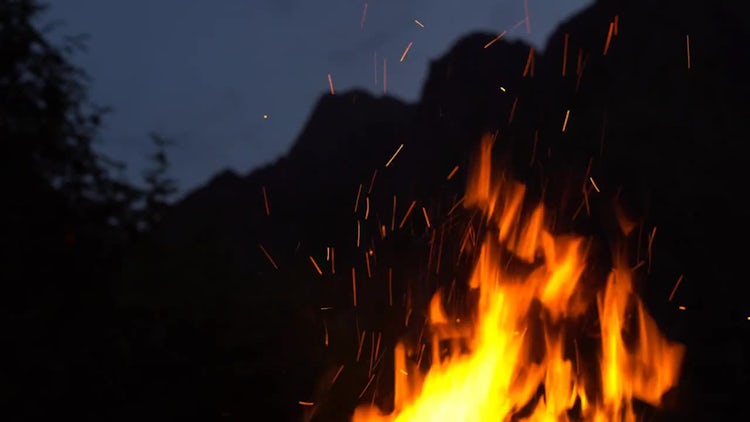 Fire In Nature: Stock Video