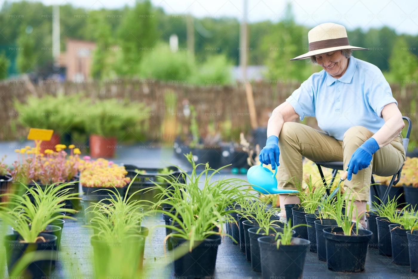 Senior Woman Watering Plants In...: Stock Photos