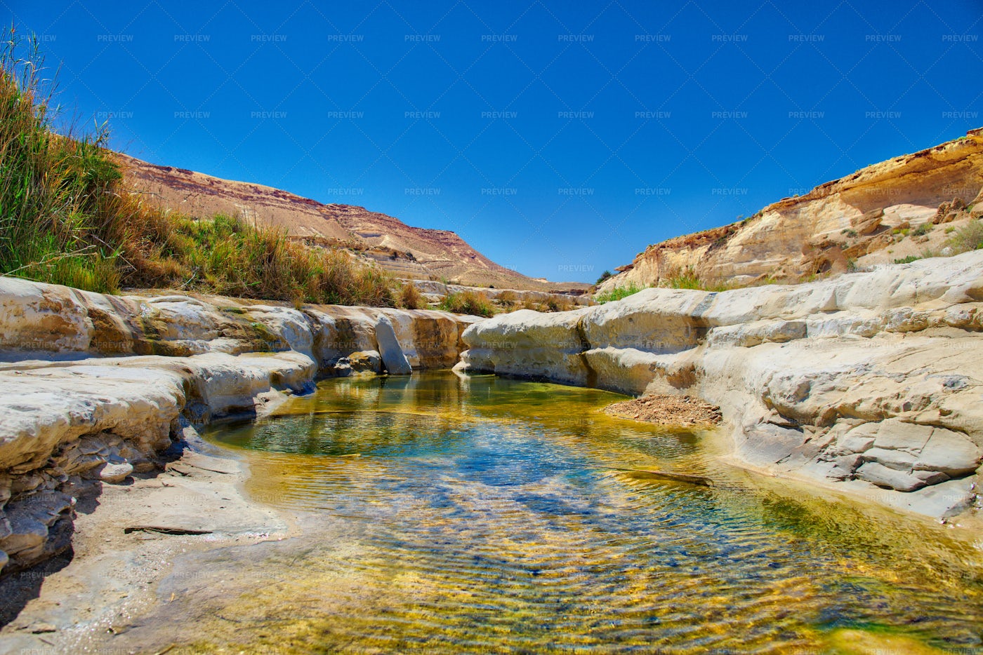 Water Oasis In The Desert - Stock Photos | Motion Array