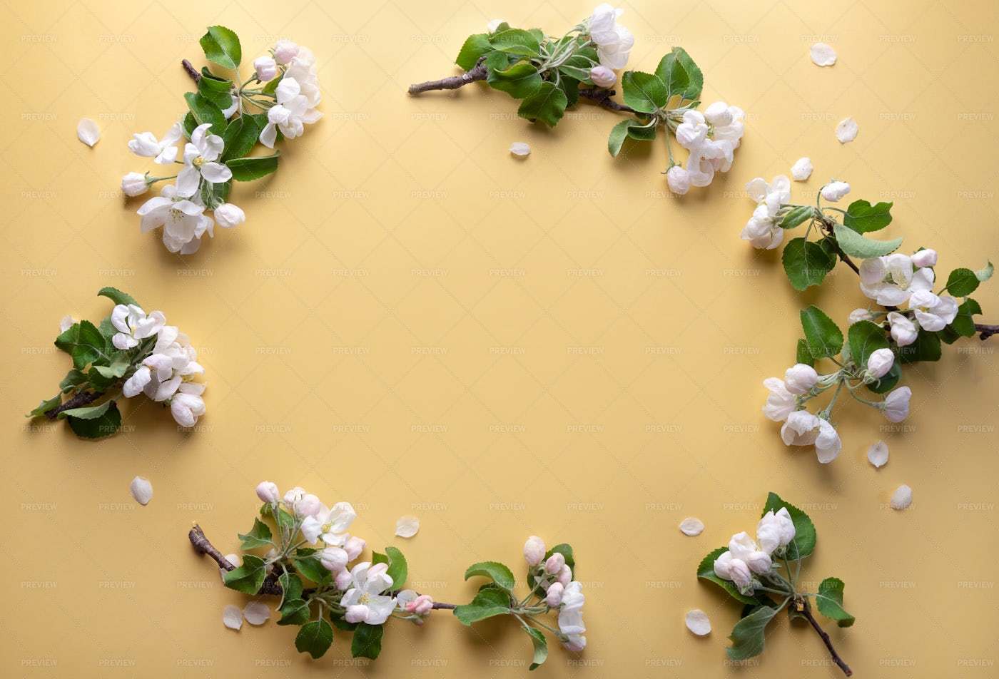 Frame Of Flowers: Stock Photos