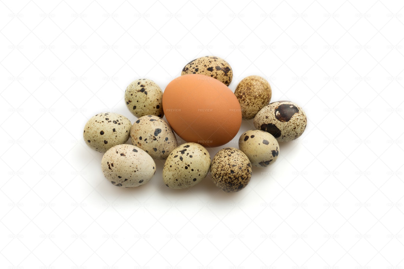 Different Types Of Eggs: Stock Photos