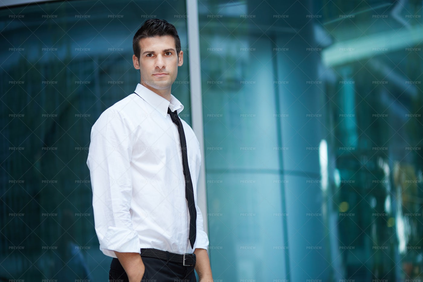 Businessman Portrait: Stock Photos