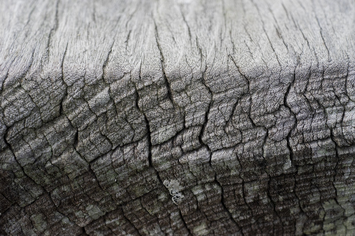 Cracked Wood Texture: Stock Photos