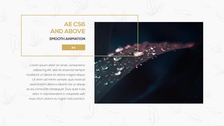 Stylish Slideshow: After Effects Templates