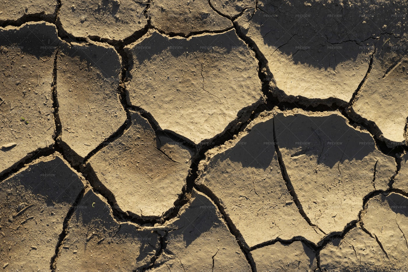 dry-cracked-soil-stock-photos-motion-array