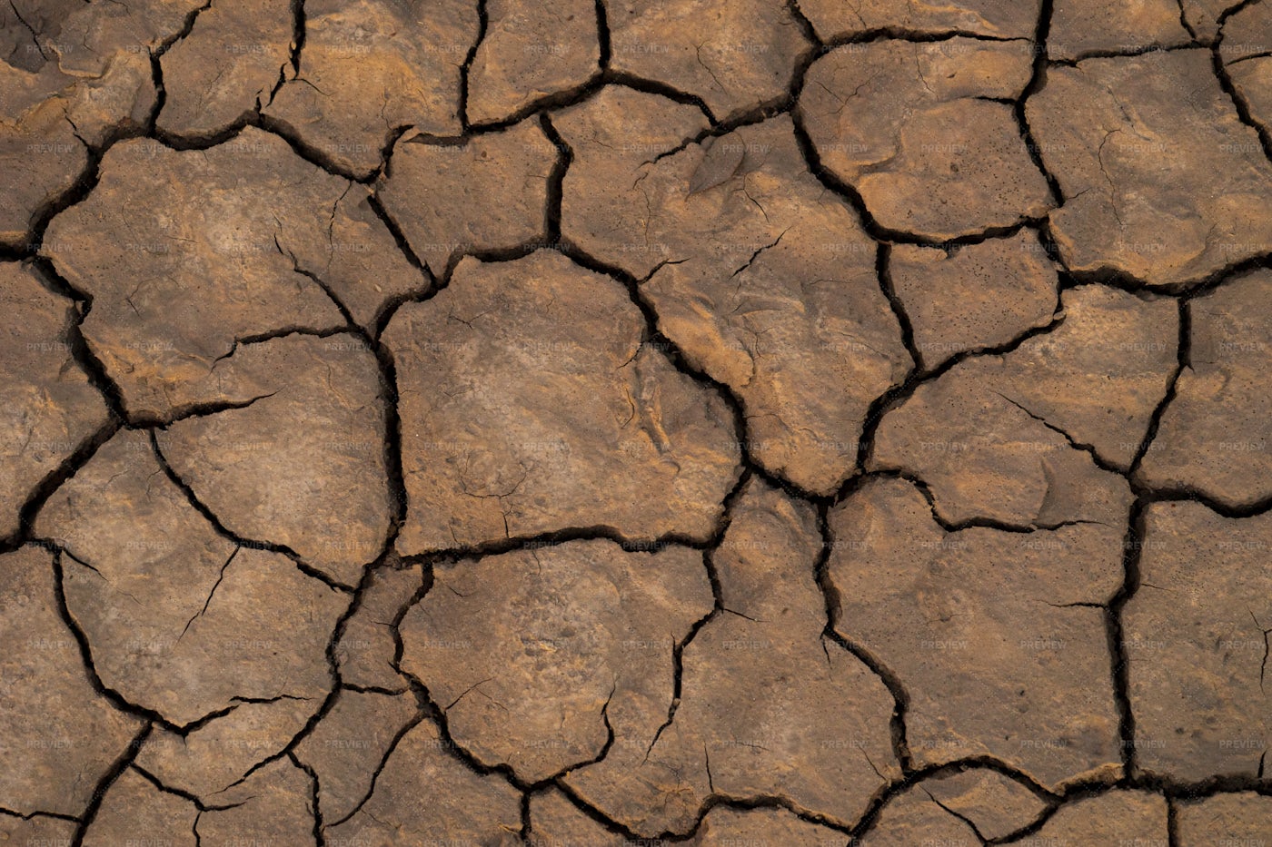 Cracked Textured Soil: Stock Photos