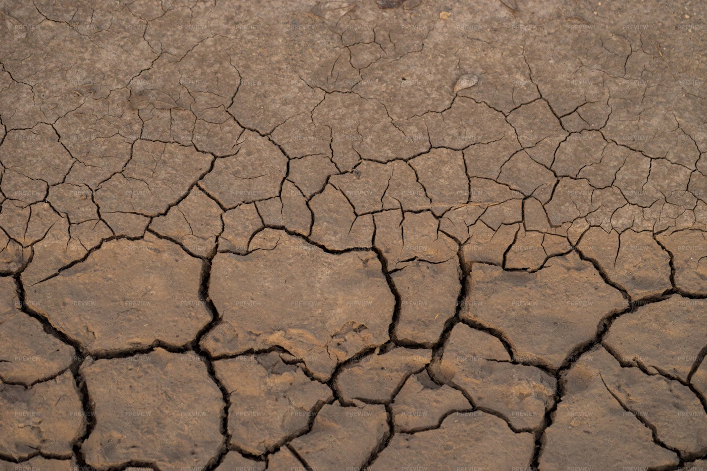 cracking-soil-during-a-drought-stock-photos-motion-array