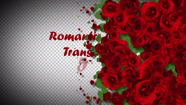 5 Romantic Roses Transitions: Stock Motion Graphics