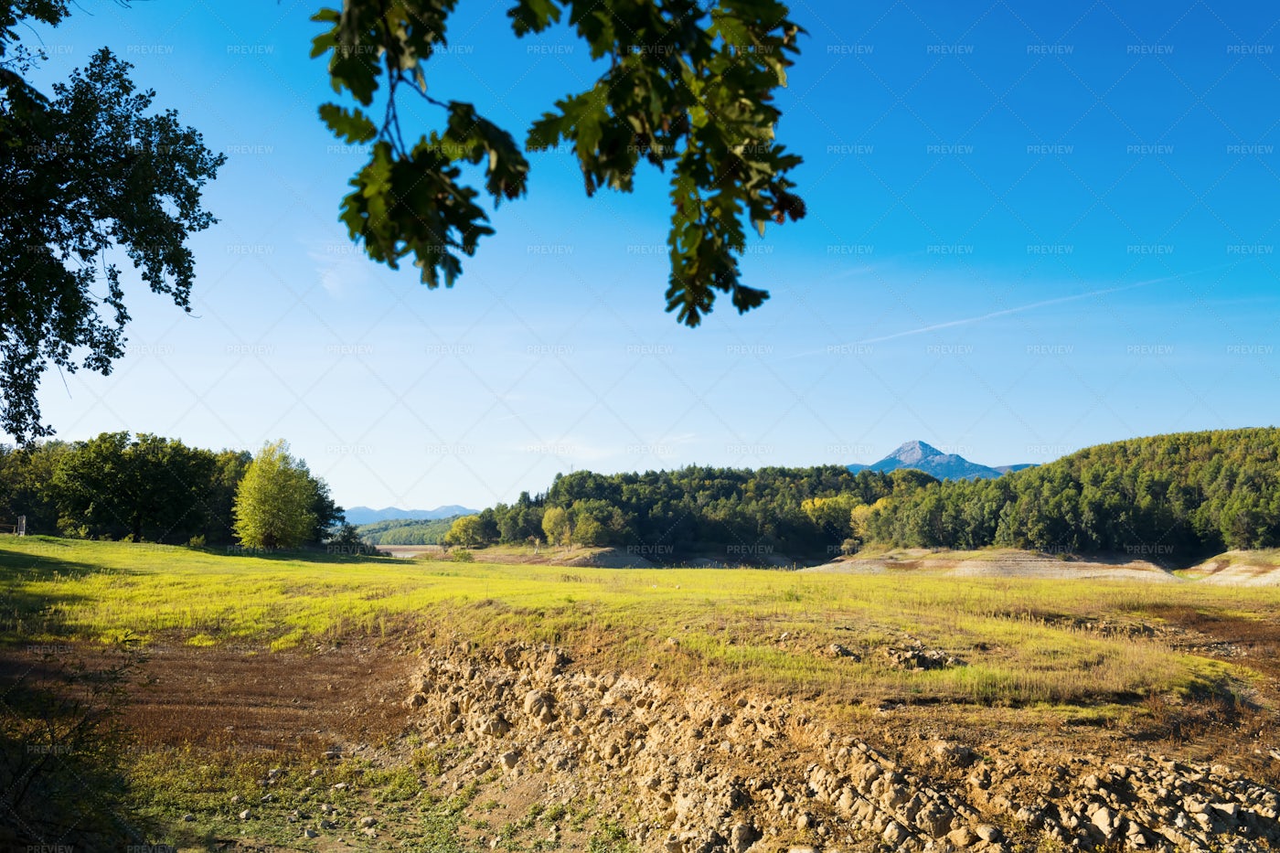 Green Fields: Stock Photos