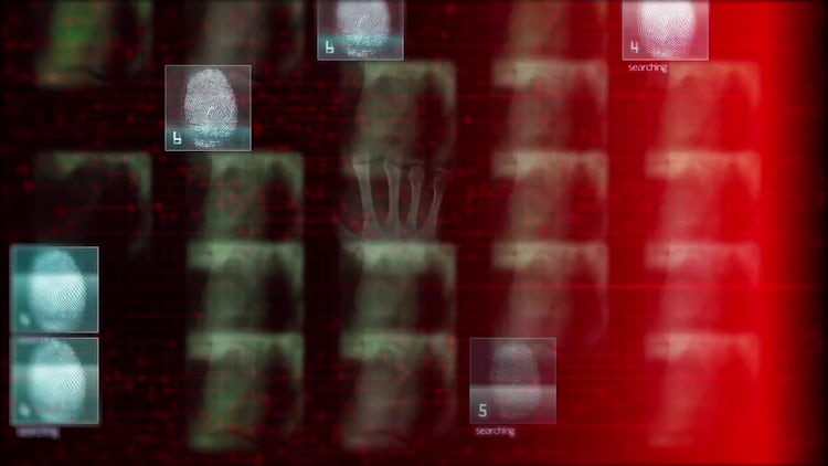 Investigation Background: Stock Motion Graphics