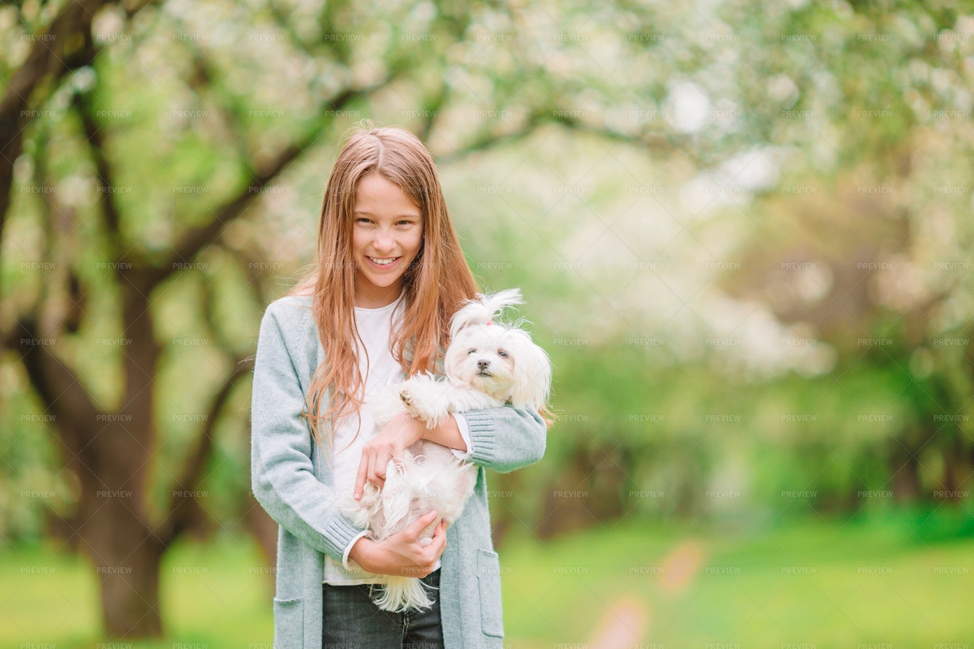 Girl And Puppy: Stock Photos