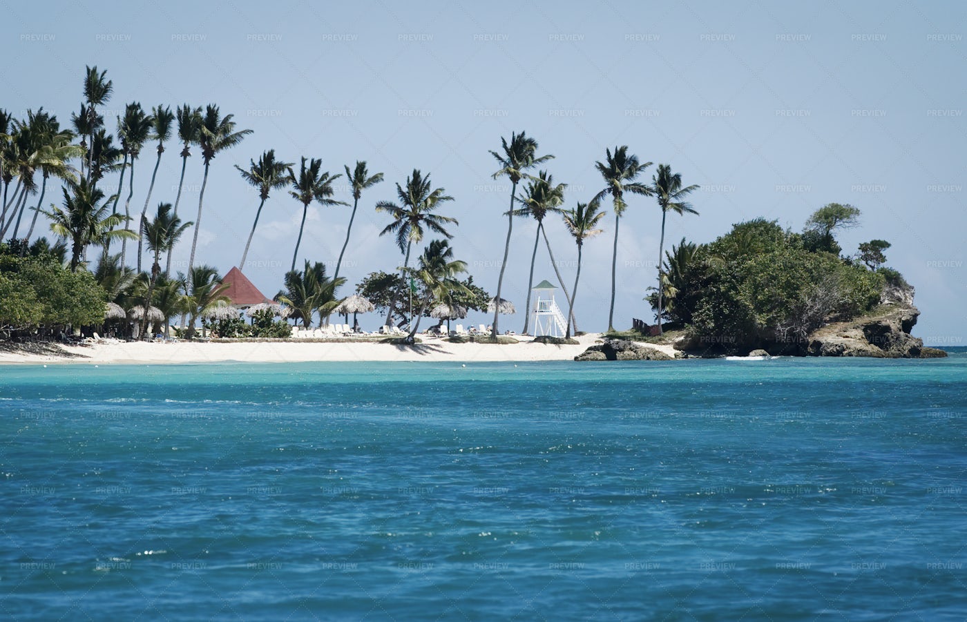 Palm Trees At Beach: Stock Photos