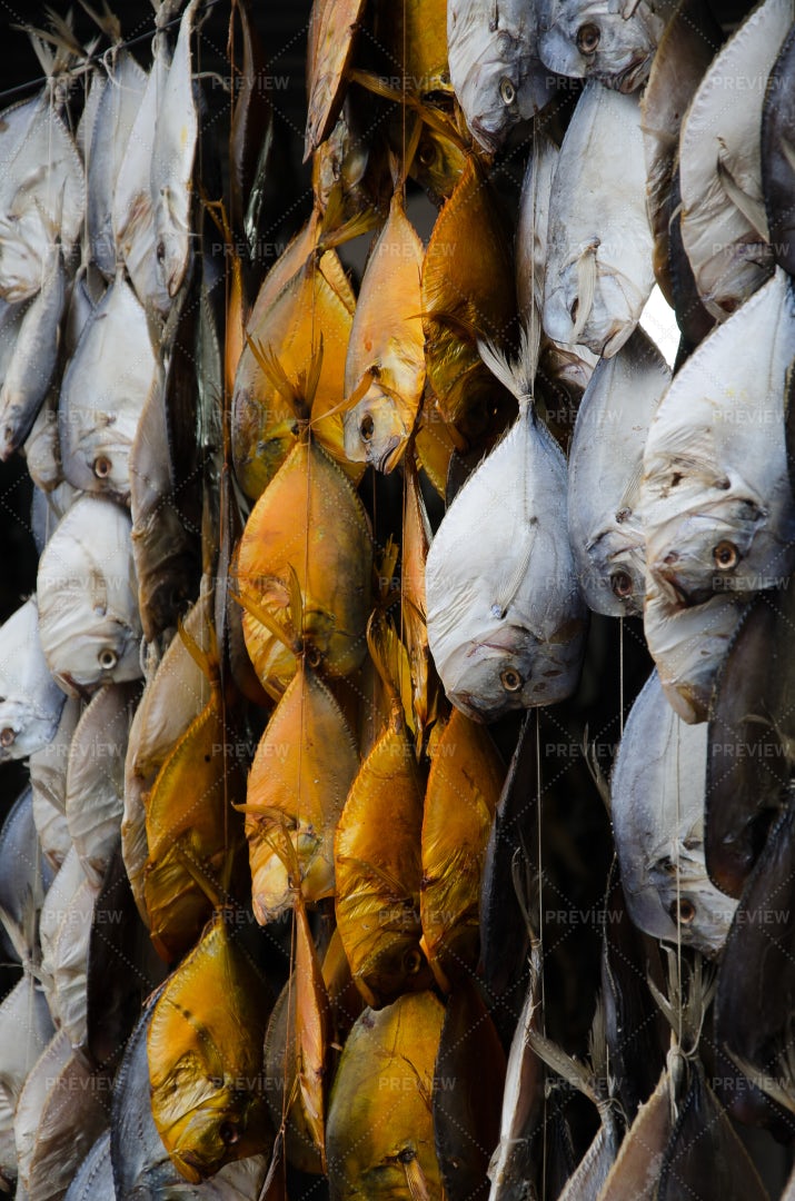 Hanged Fishes: Stock Photos