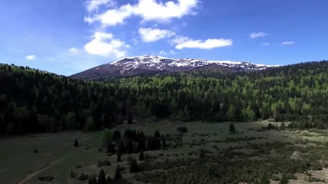 4K Aerial Forest and Mountain: Stock Video