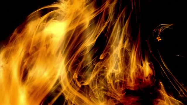 Paint in Water: Stock Video