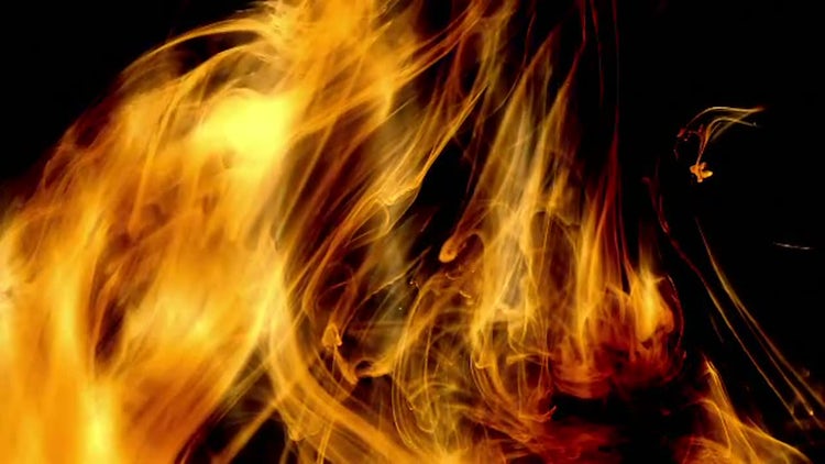 Paint in Water: Stock Video