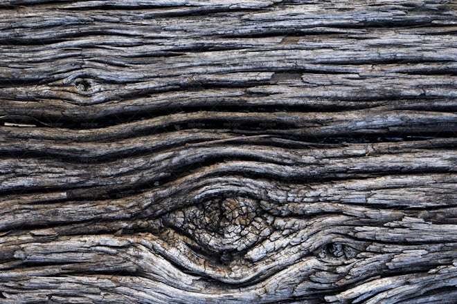 Wooden Log Textures - Stock Photos | Motion Array