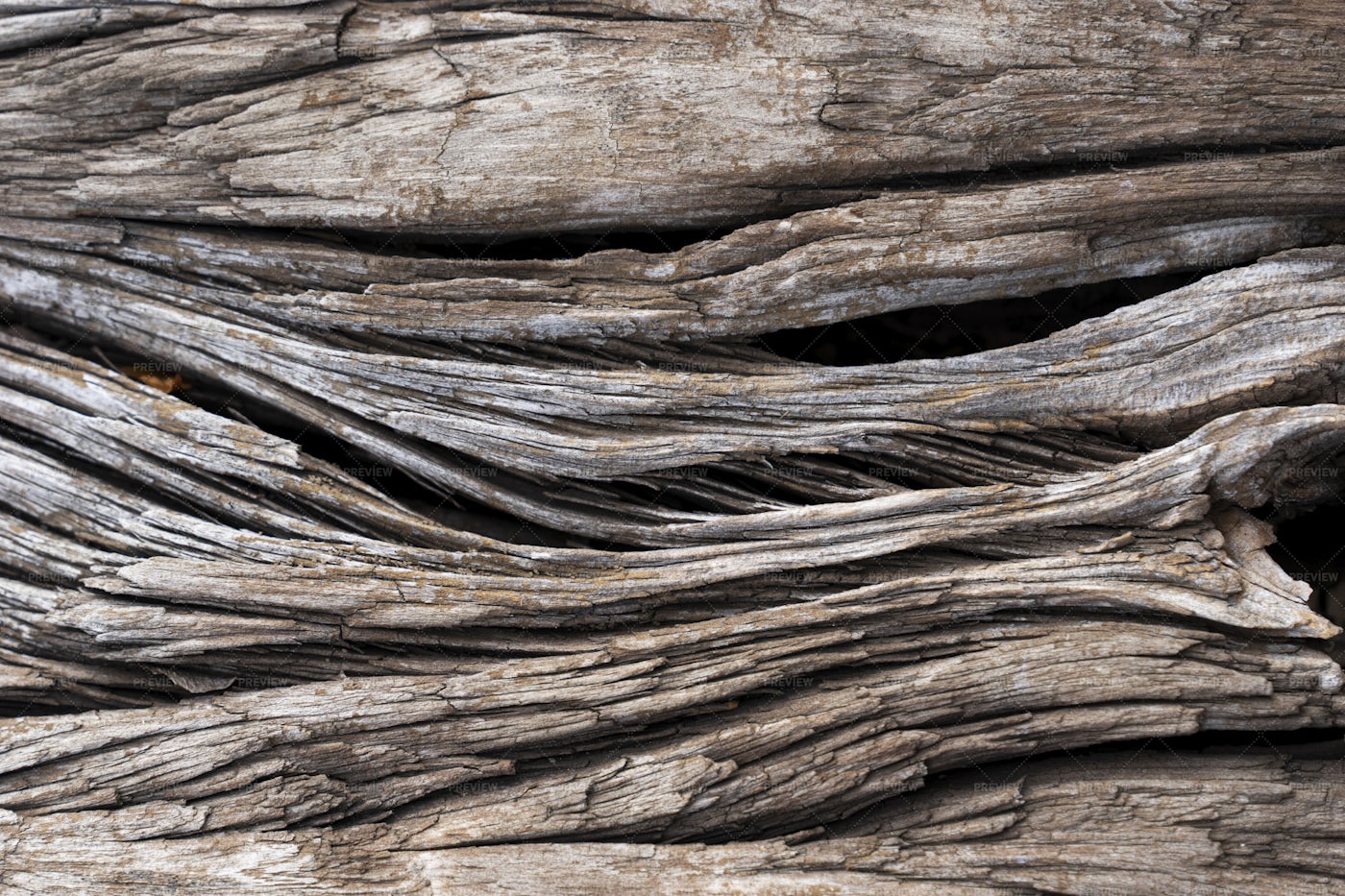 Deep Cracks In Wood: Stock Photos