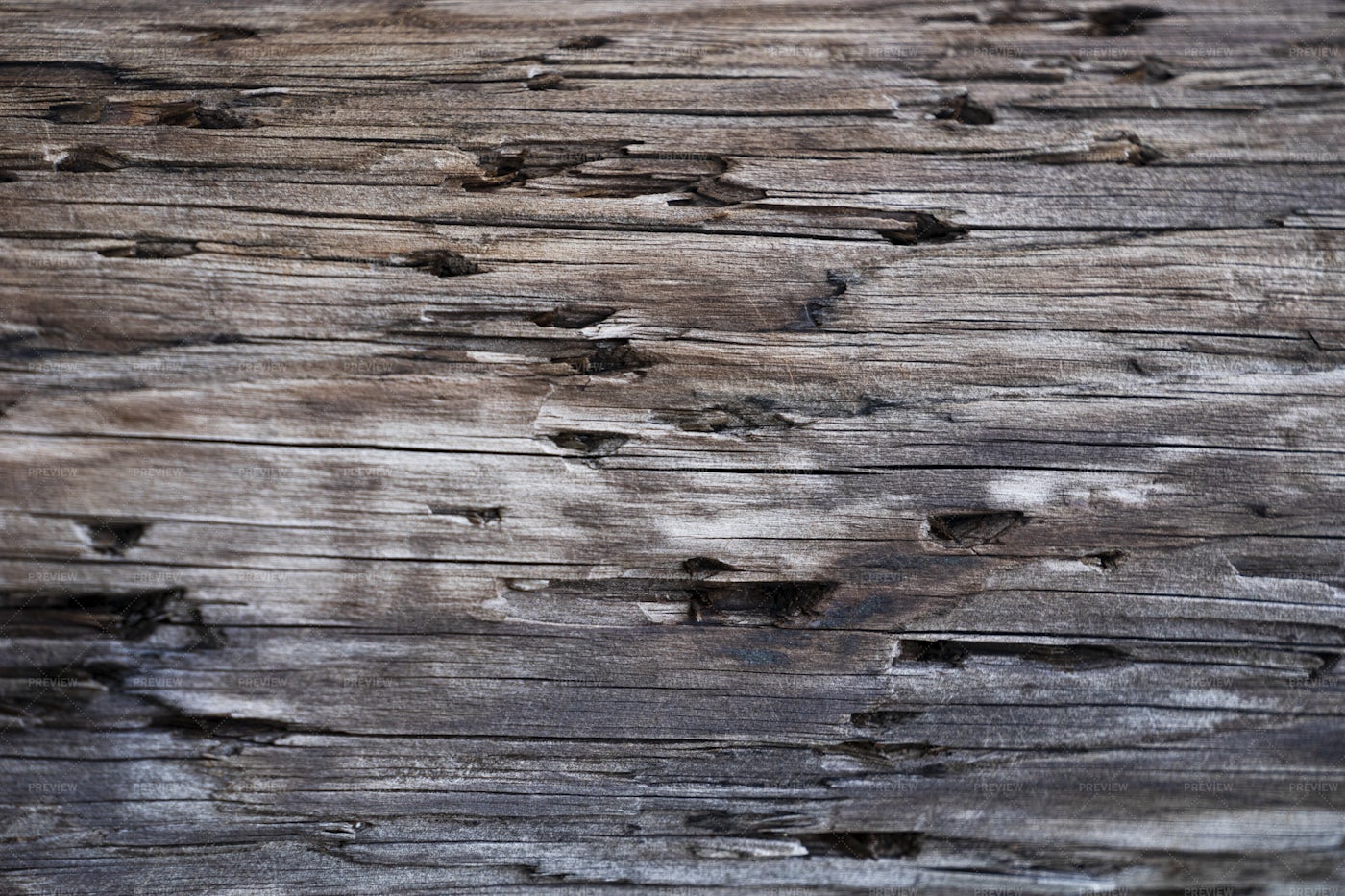 Old Wood With Holes: Stock Photos