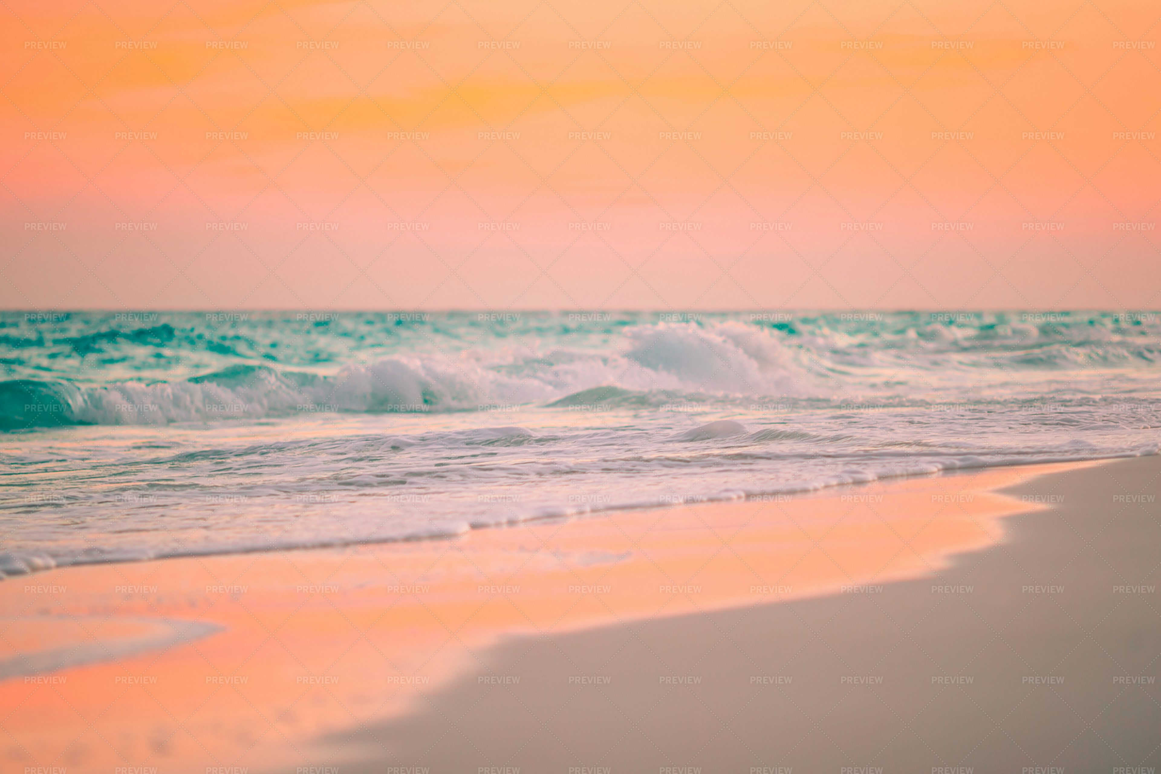 Pink Golden Sunset - Stock Photos | Motion Array