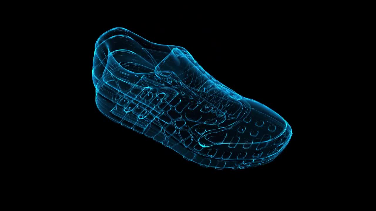 shoe hologram