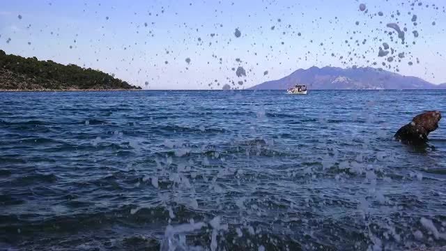 Sea View With Fishing Boat: Stock Video