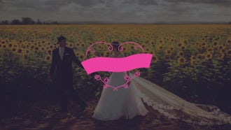 Love Elements - Borders Frames: Motion Graphics