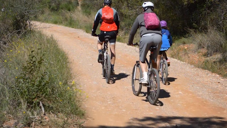 Highly Transited Mountain Bike Road: Stock Video
