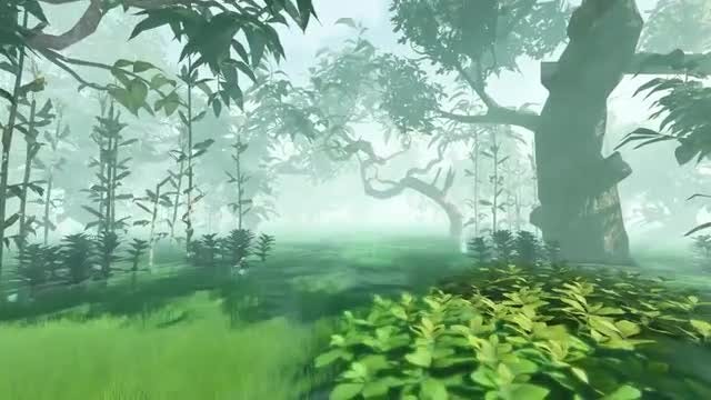 Movement On A Flooded Forest : Stock Motion Graphics